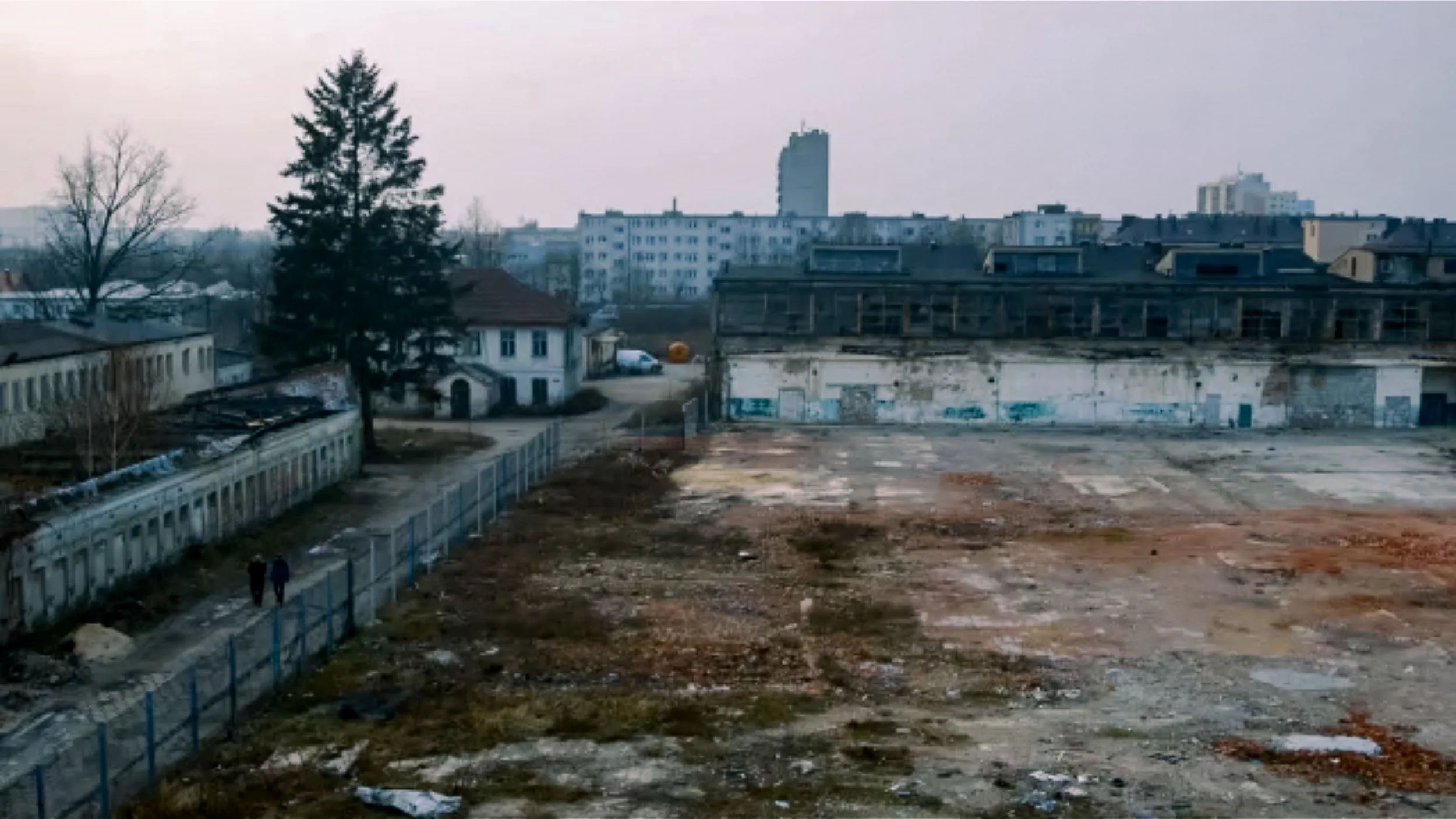 RINDER-16.jpg