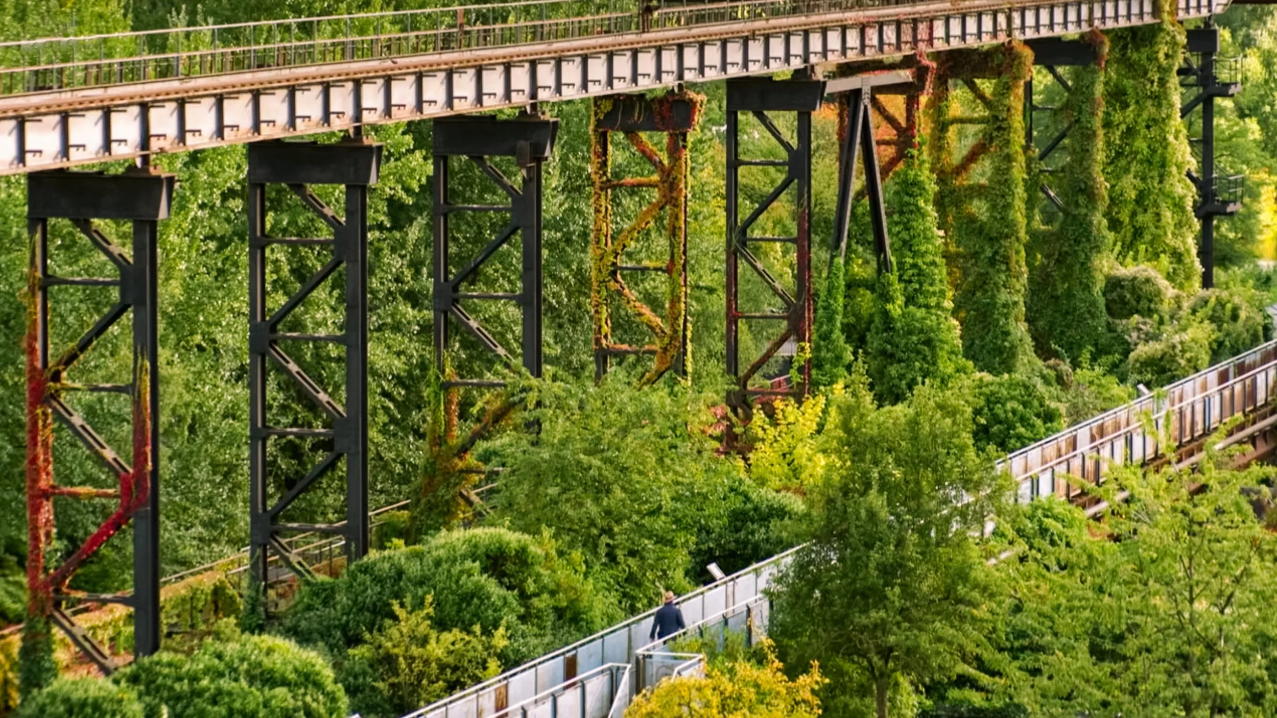 Screenshot 2026-01-24 at 16.06.28-Edit.jpg