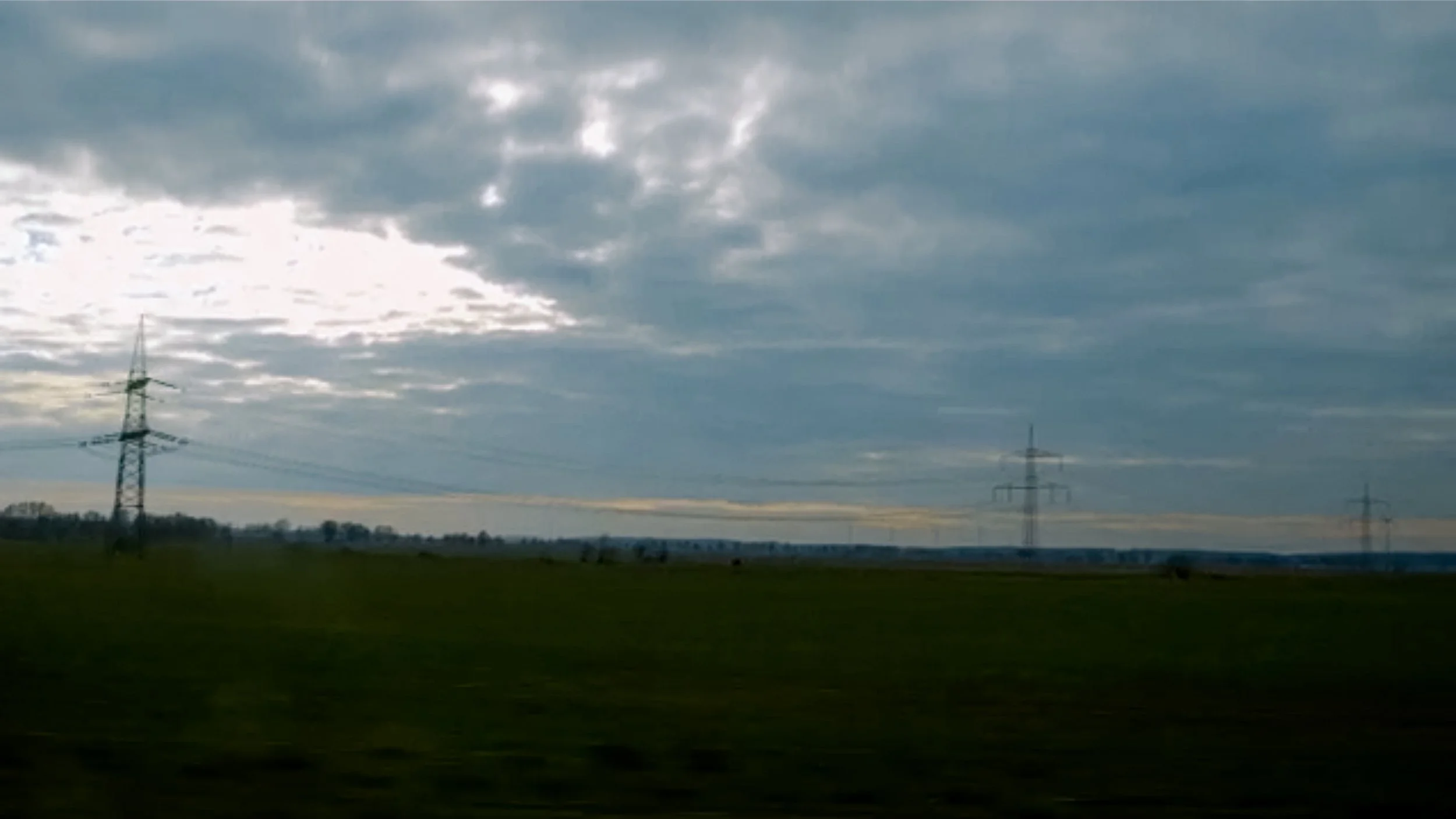 RINDER-28.jpg