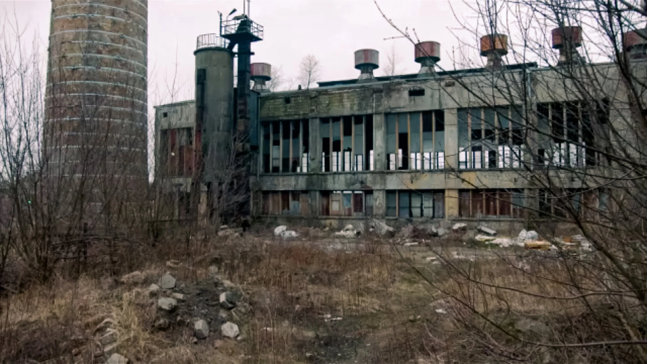 RINDER-62.jpg