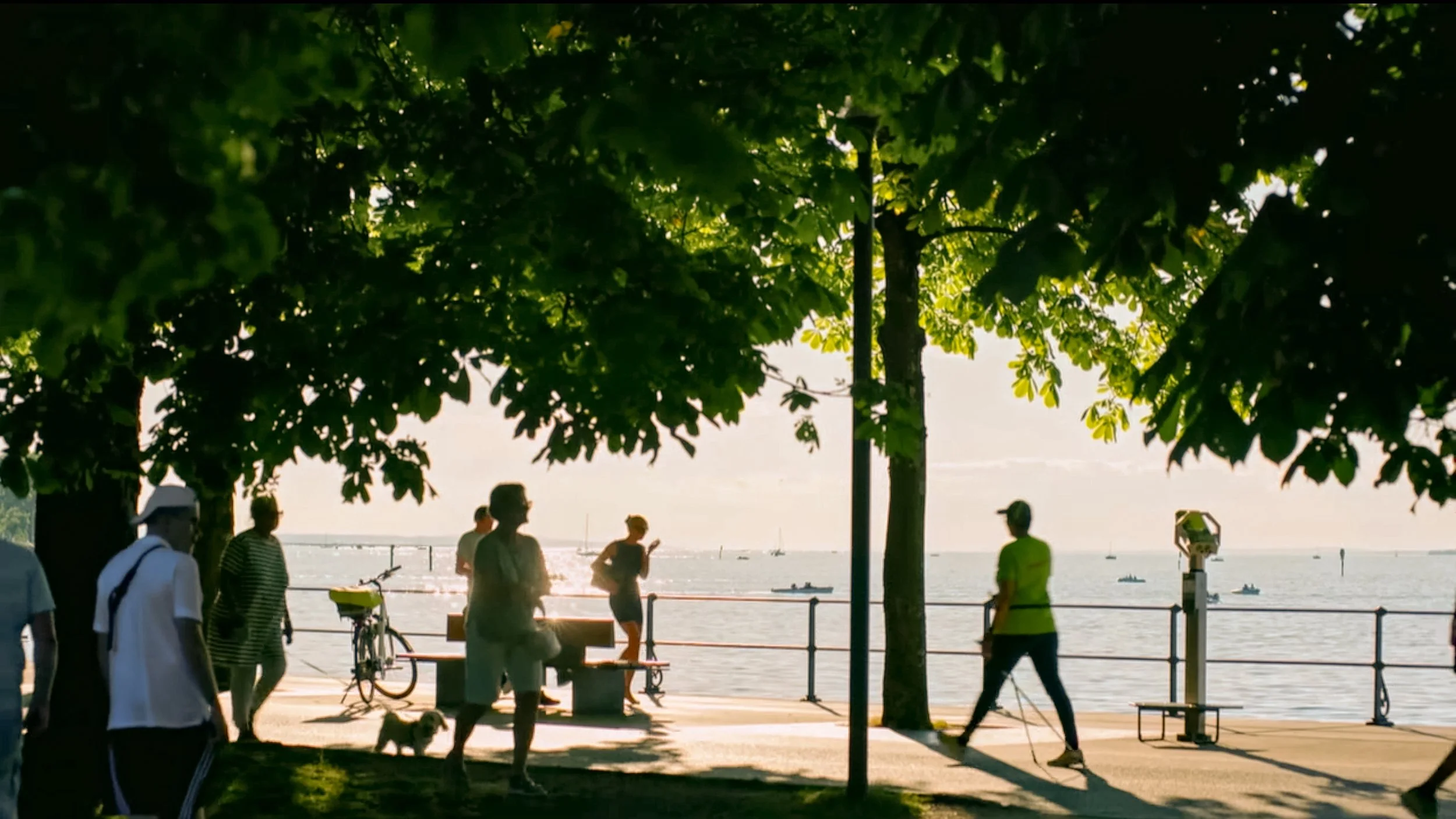 Screenshot 2026-01-24 at 15.35.18-Edit.jpg