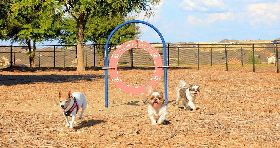 Small-Dog-Parks.jpg