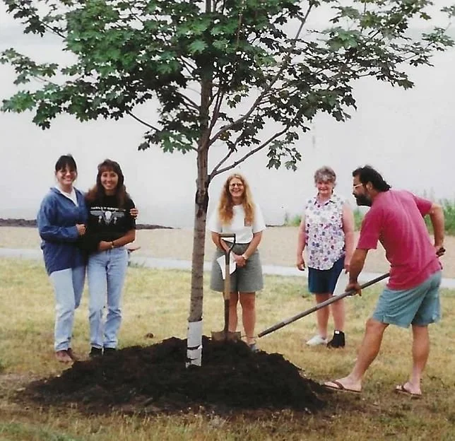 planting-norway-maple.jpg
