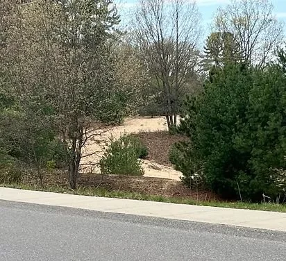 disc-golf-12-hole-course (1).jpg