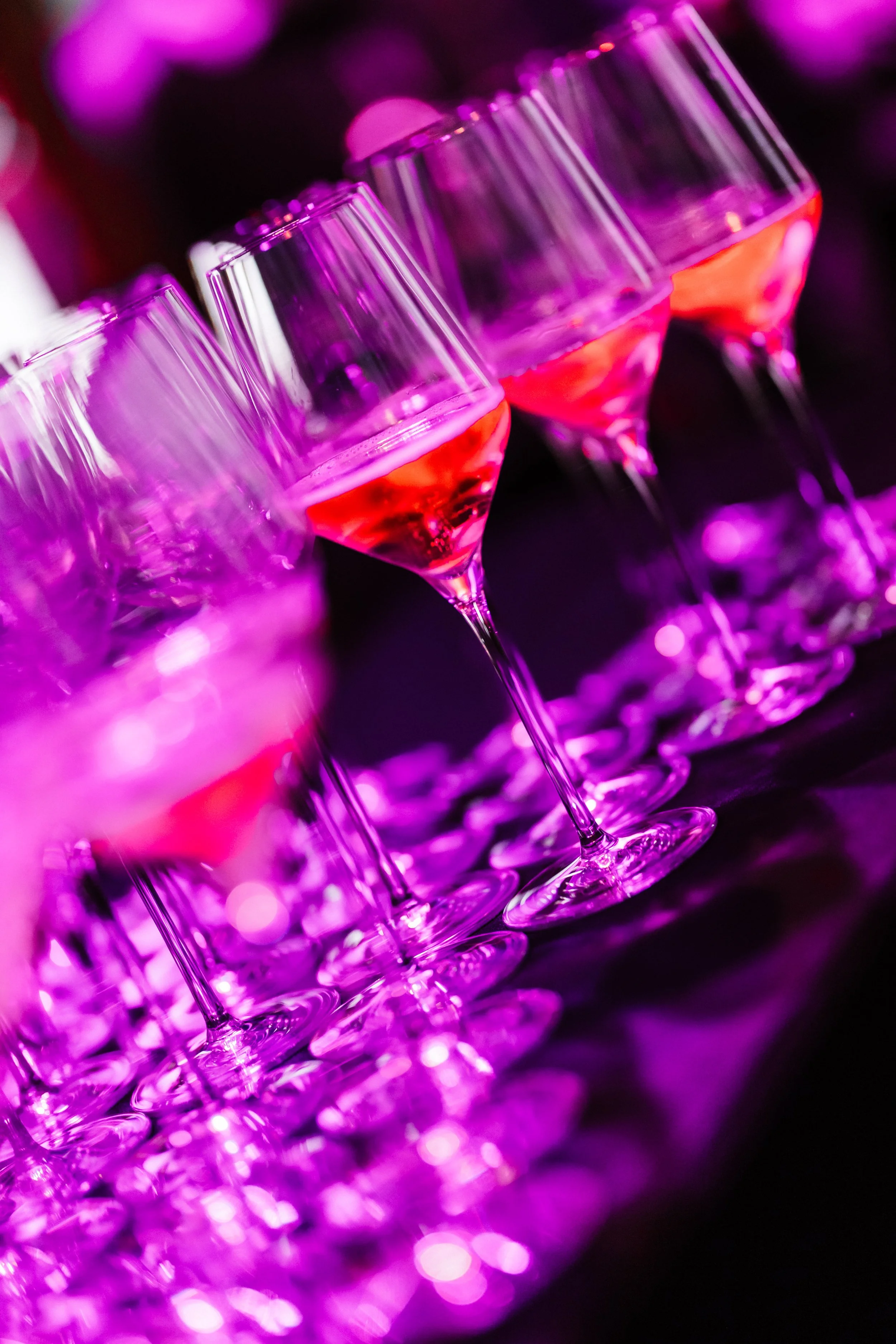 pinotpinot_event-8208.jpg