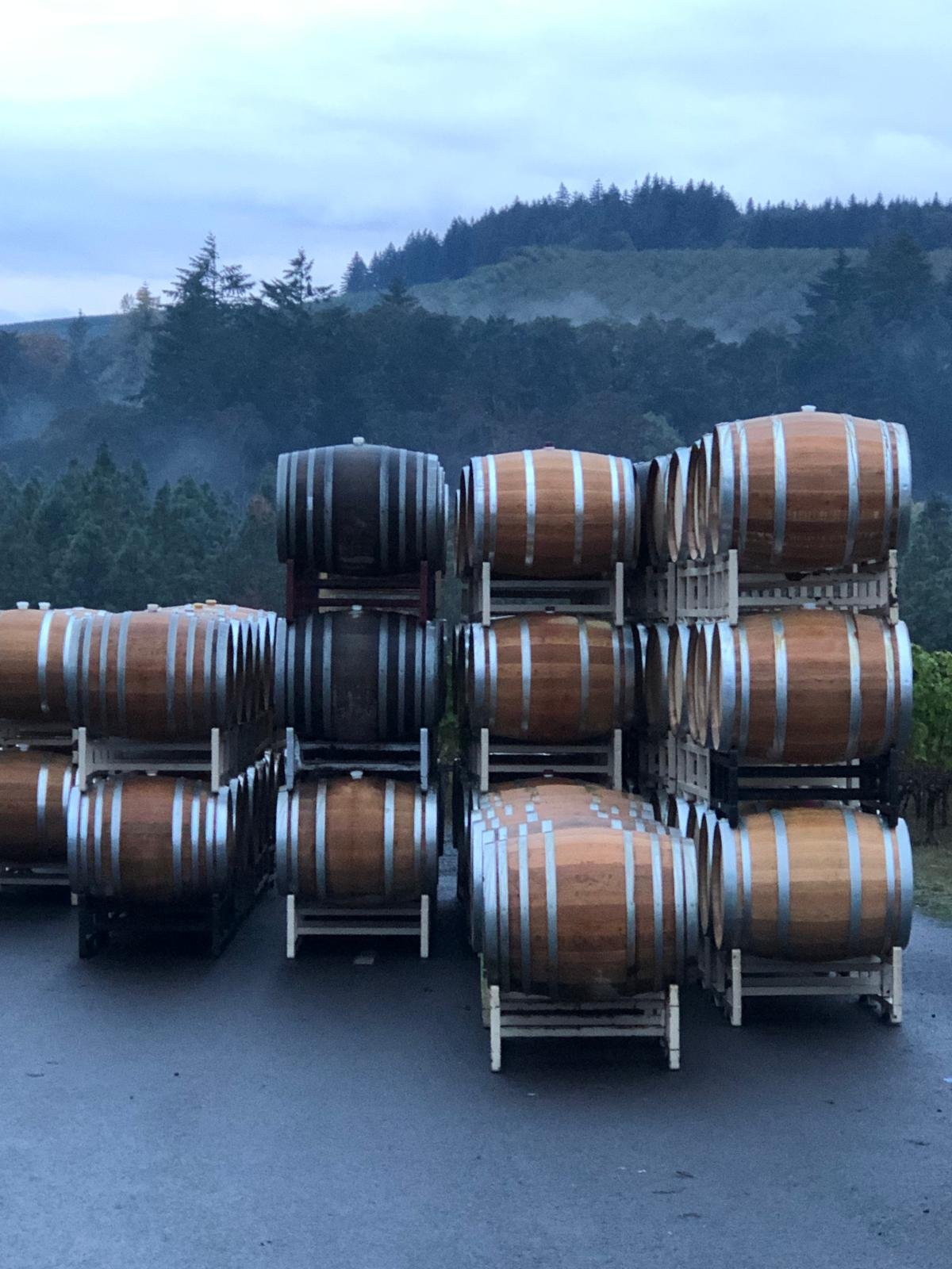 Stacks of wooden wine barrels on racks outdoors, with forested hills and cloudy sky in the background.