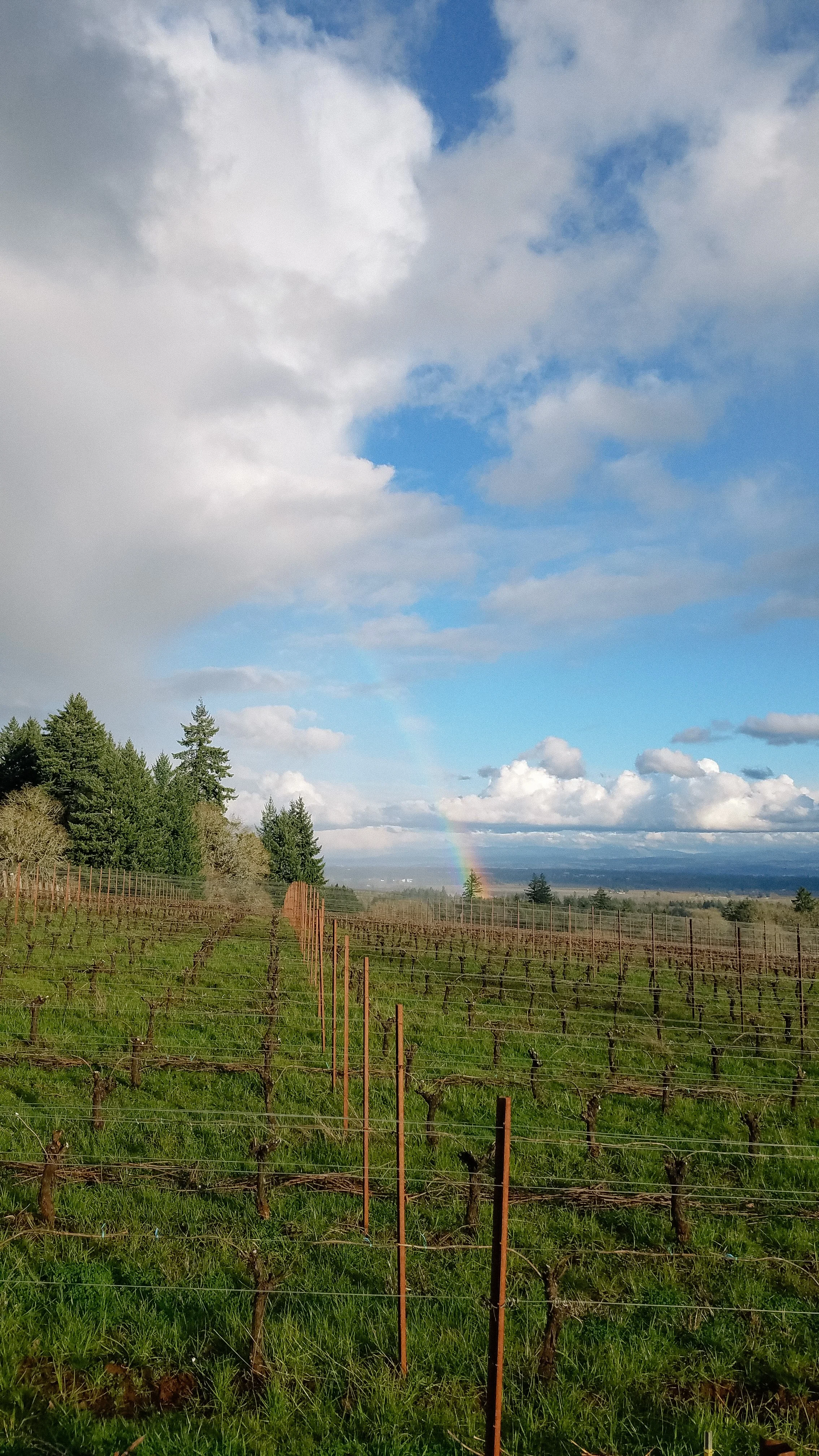 What a beautiful place to work!