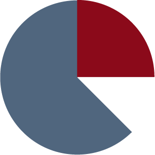Pie chart with four segments in red, white, gray, and blue.
