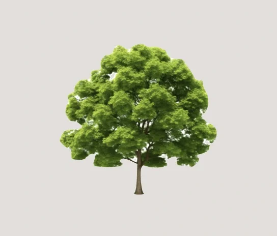 1-day Self Care Retreat