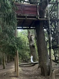 IMG_6965.jpeg