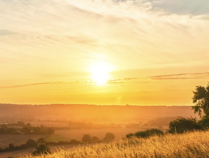 Enwild 3-Day Retreat ~ Litha Solstice &amp; the strawberry moon