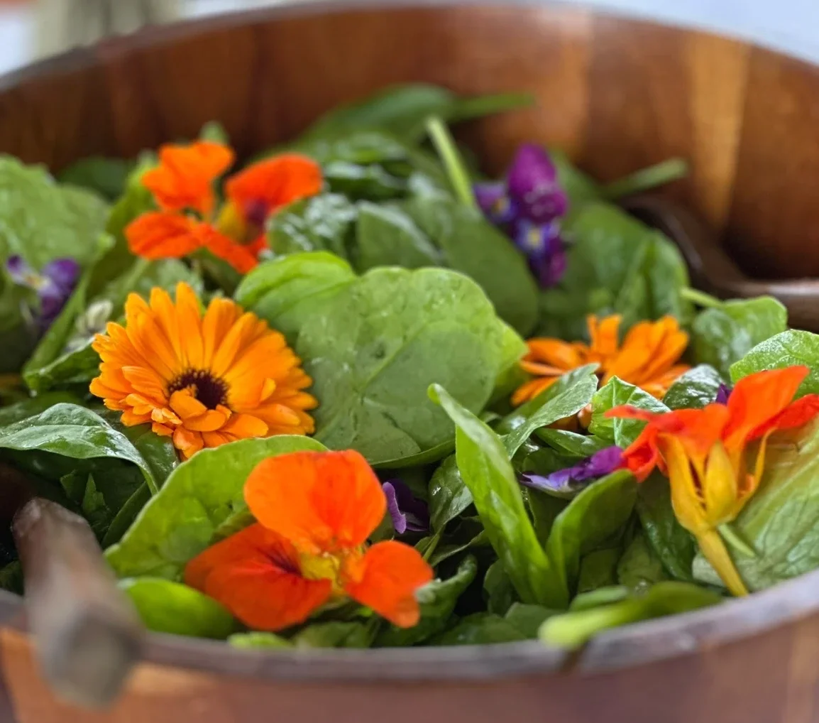 Enwild 2-Day Retreat ~ Midsummer Abundance