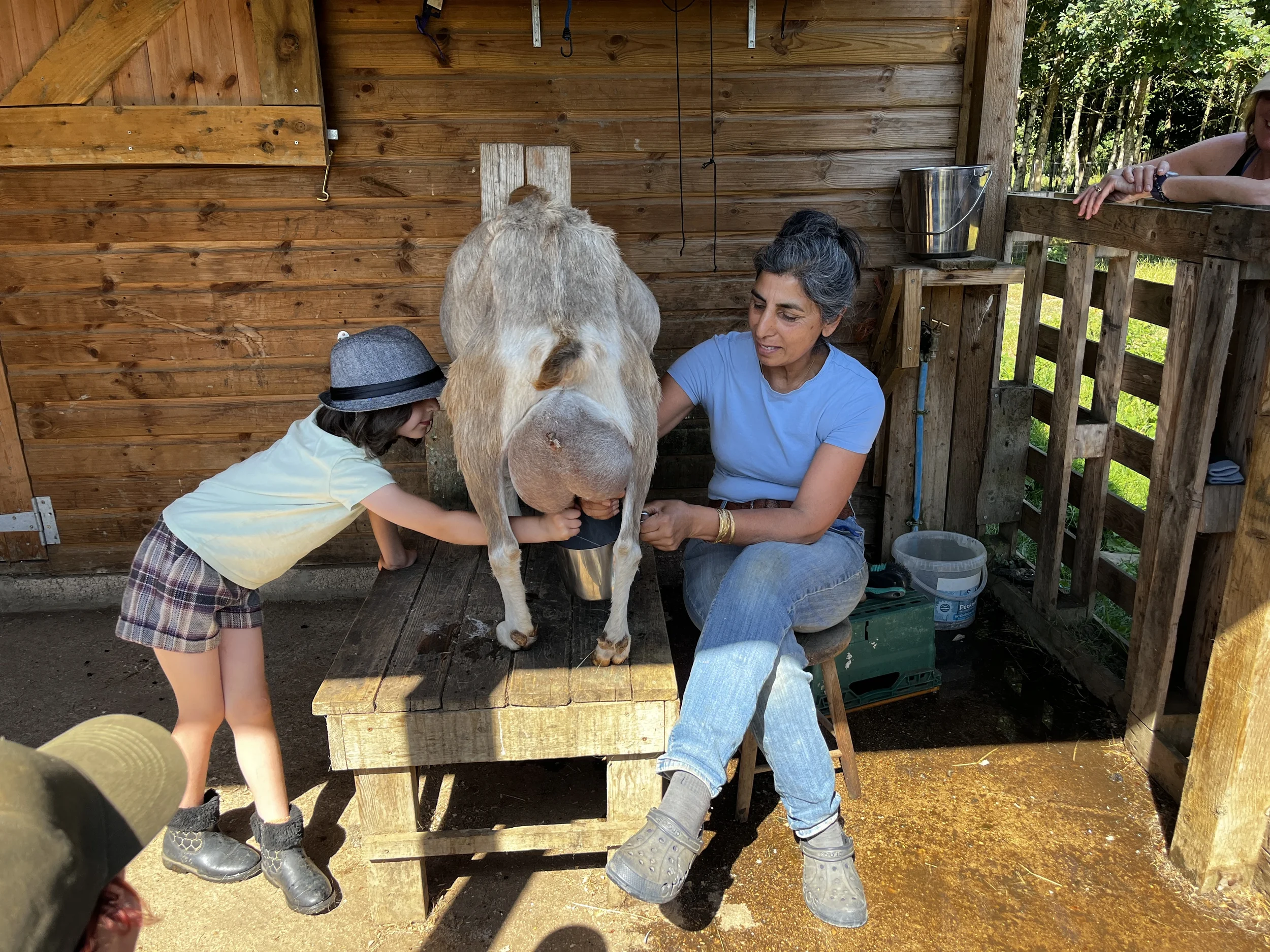 enwild retreat in oxfordshire | a 3-day luxury nature and wellness experience with yoga, meditation, sound baths & forest bathing | milking the goats.webp