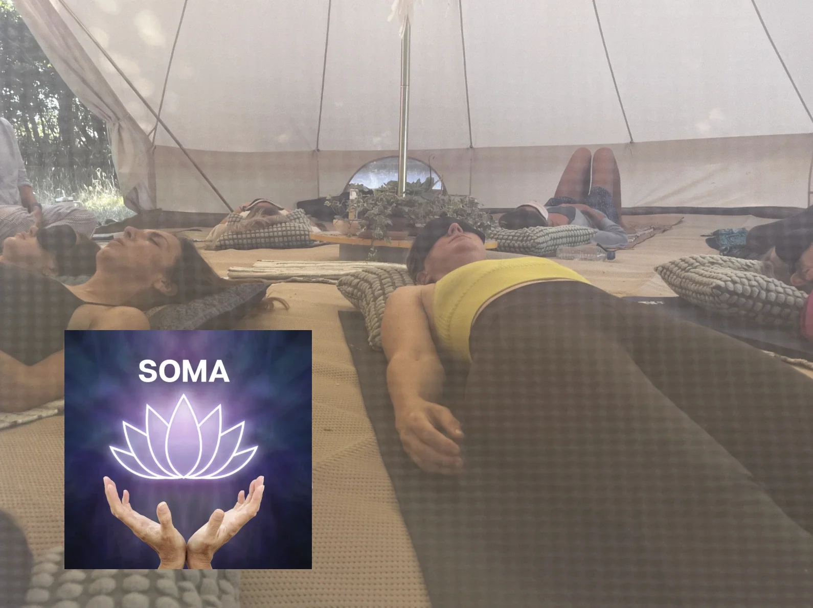 enwild retreat + soma breathwork.webp