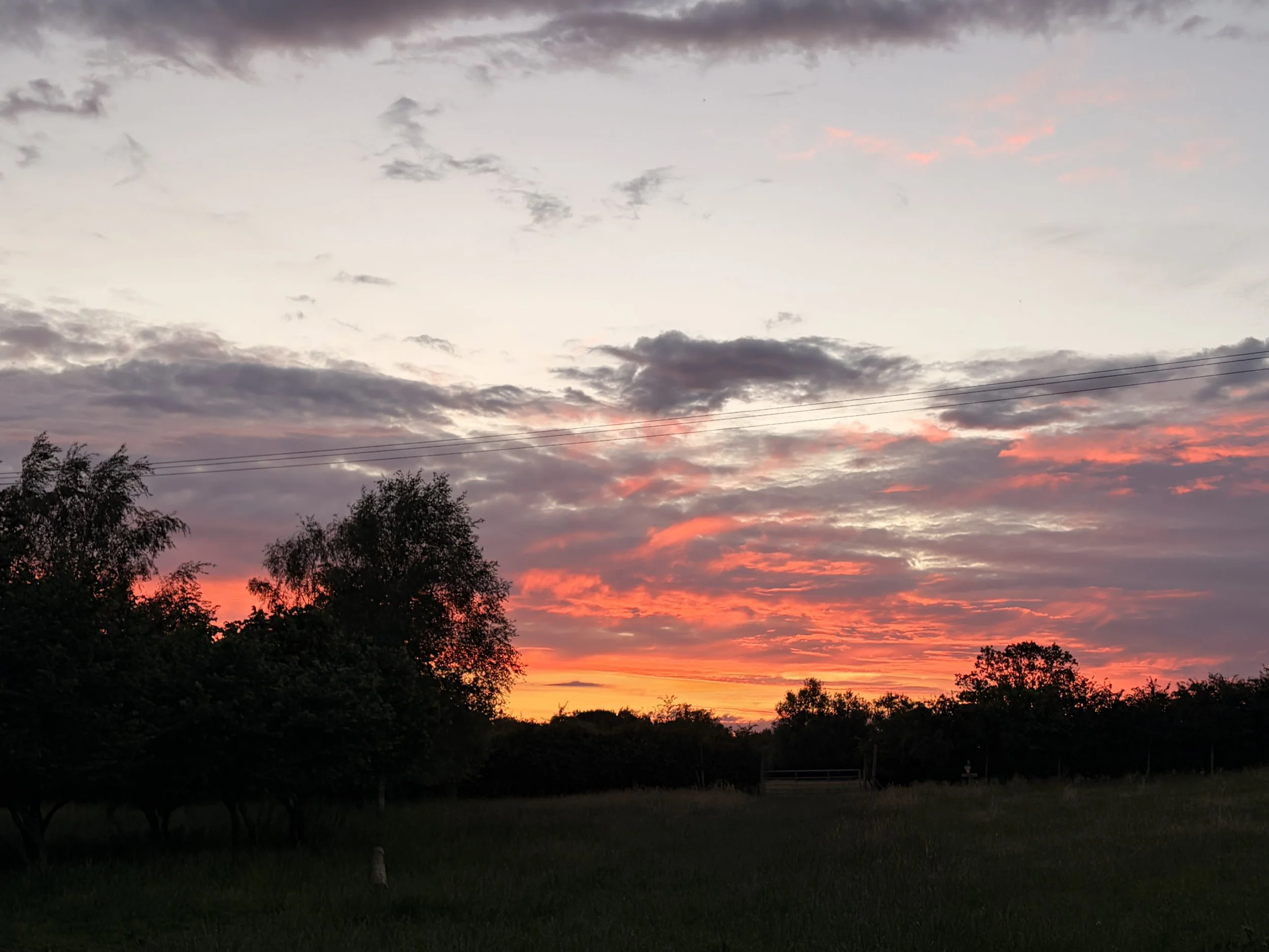 IMG_7553.jpeg
