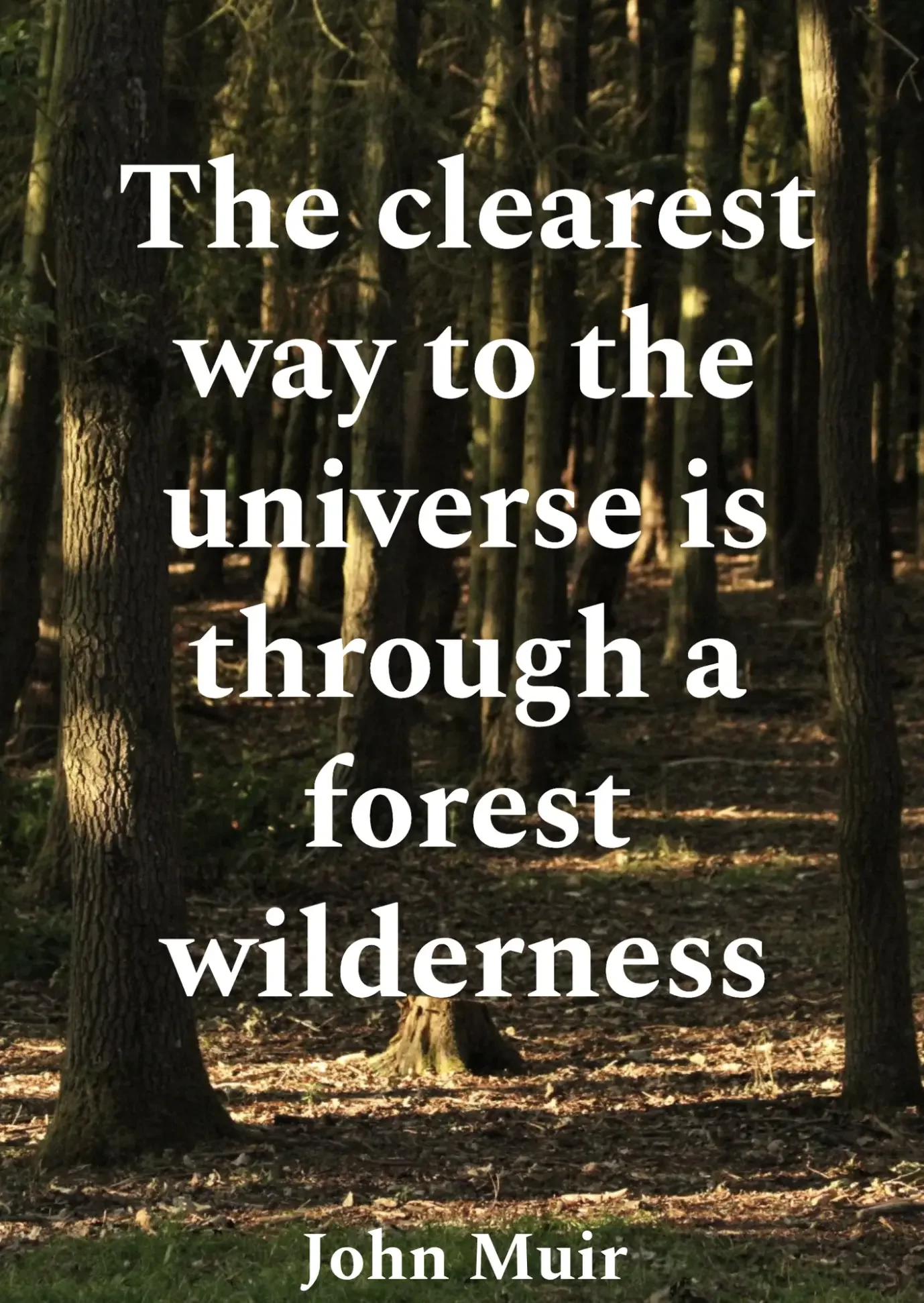 A forest scene with trees and sunlight filtering through the branches. Overlaid on the image is a quote by John Muir: 'The clearest way to the universe is through a forest wilderness.'