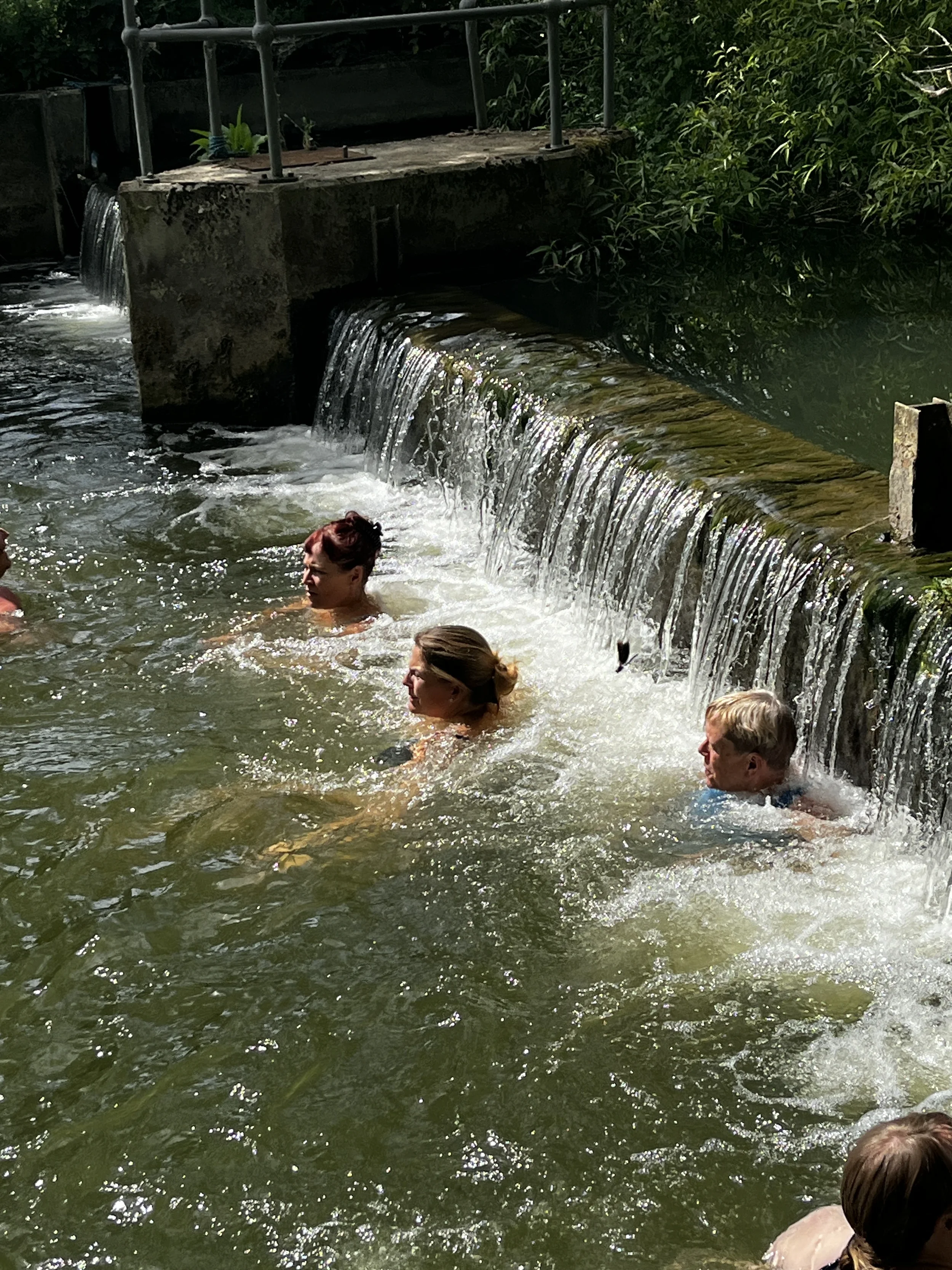 Enwild retreat wild swimming.webp