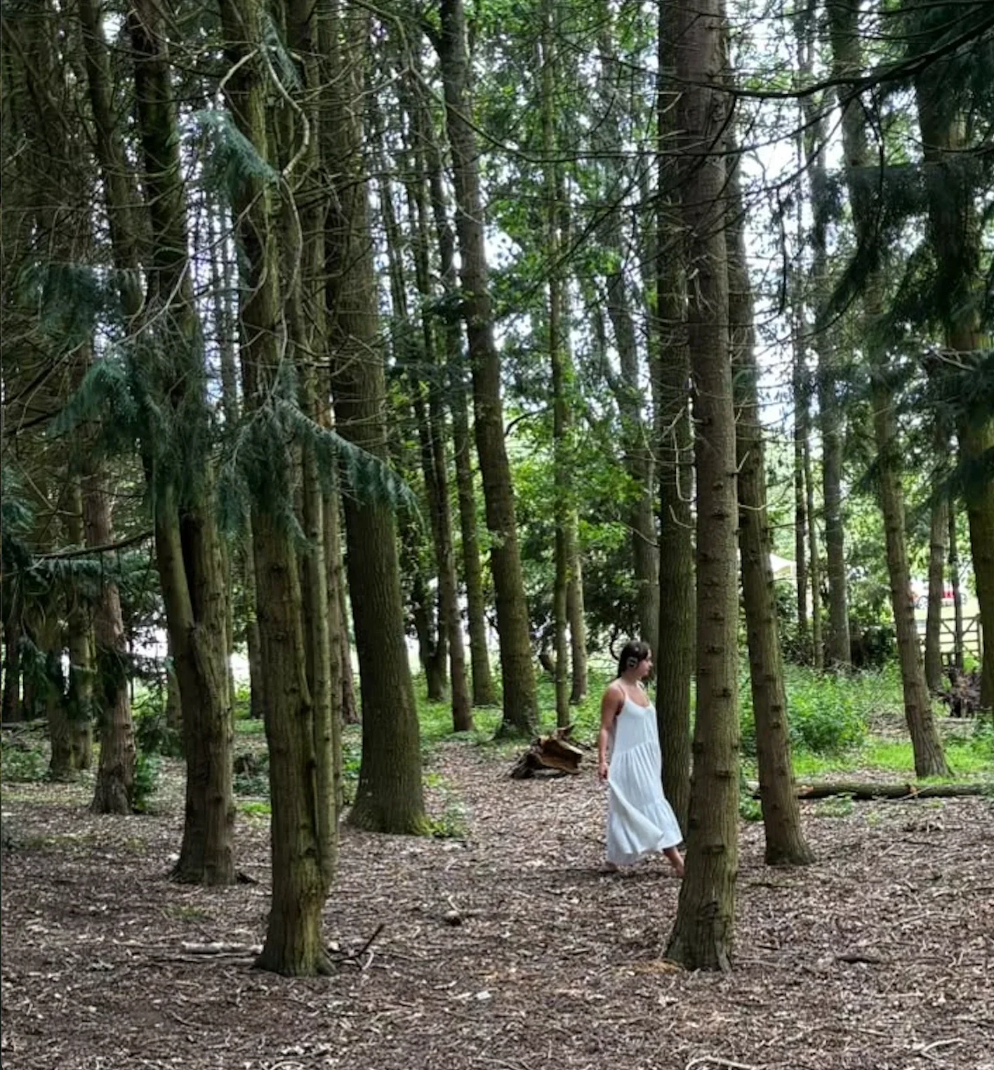enwild+retreat+ecstatic+dance+forest+bathing.webp