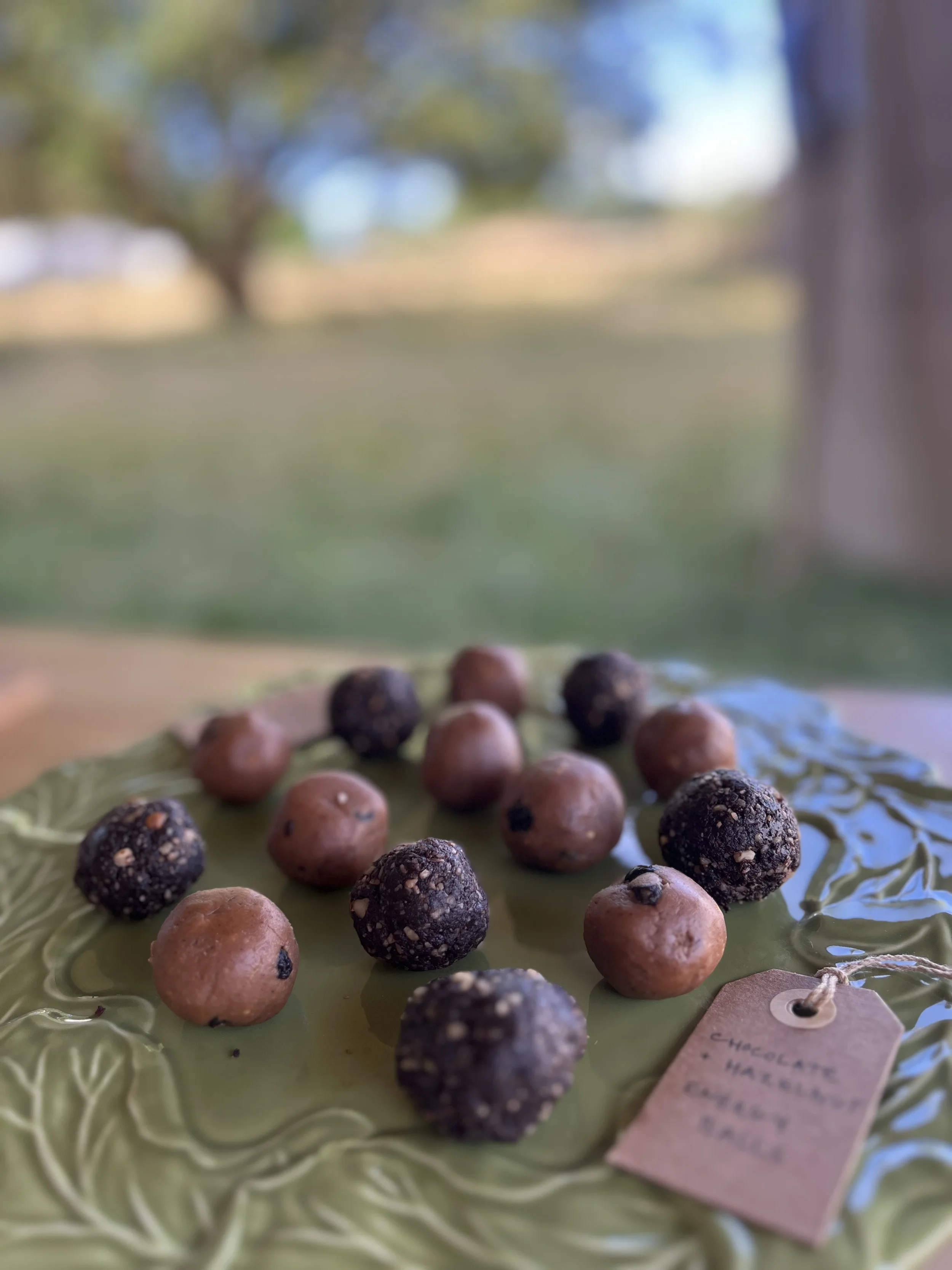 protein balls at enwild retreat.webp