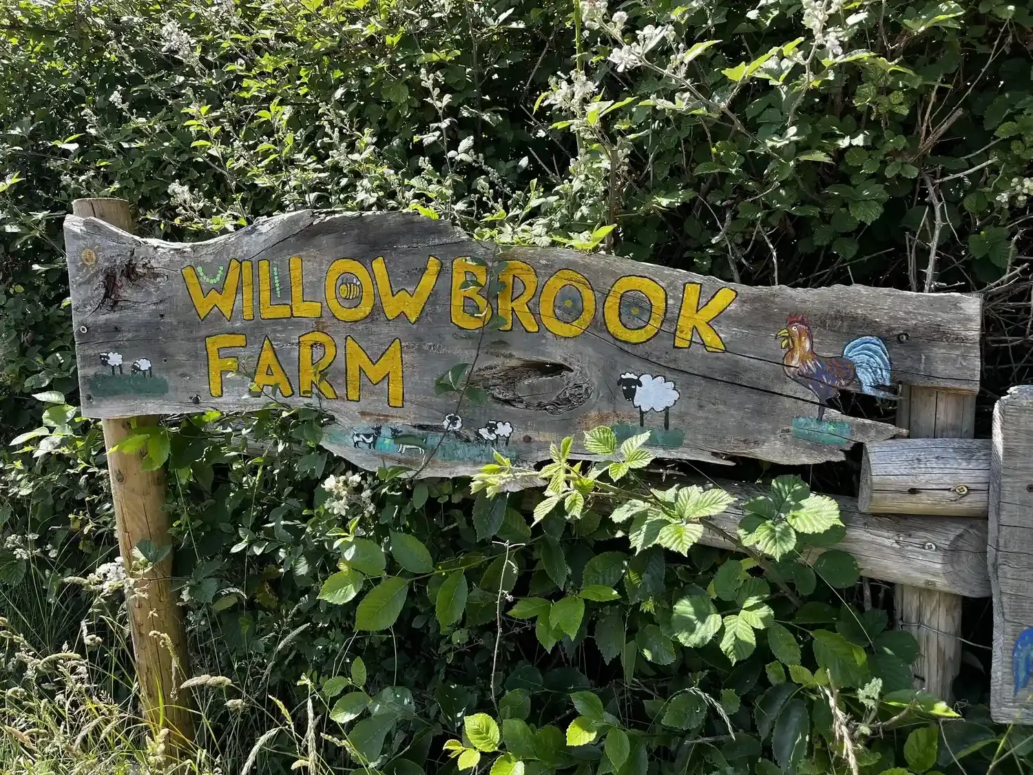 rustic hand painted willowbrook farm sign