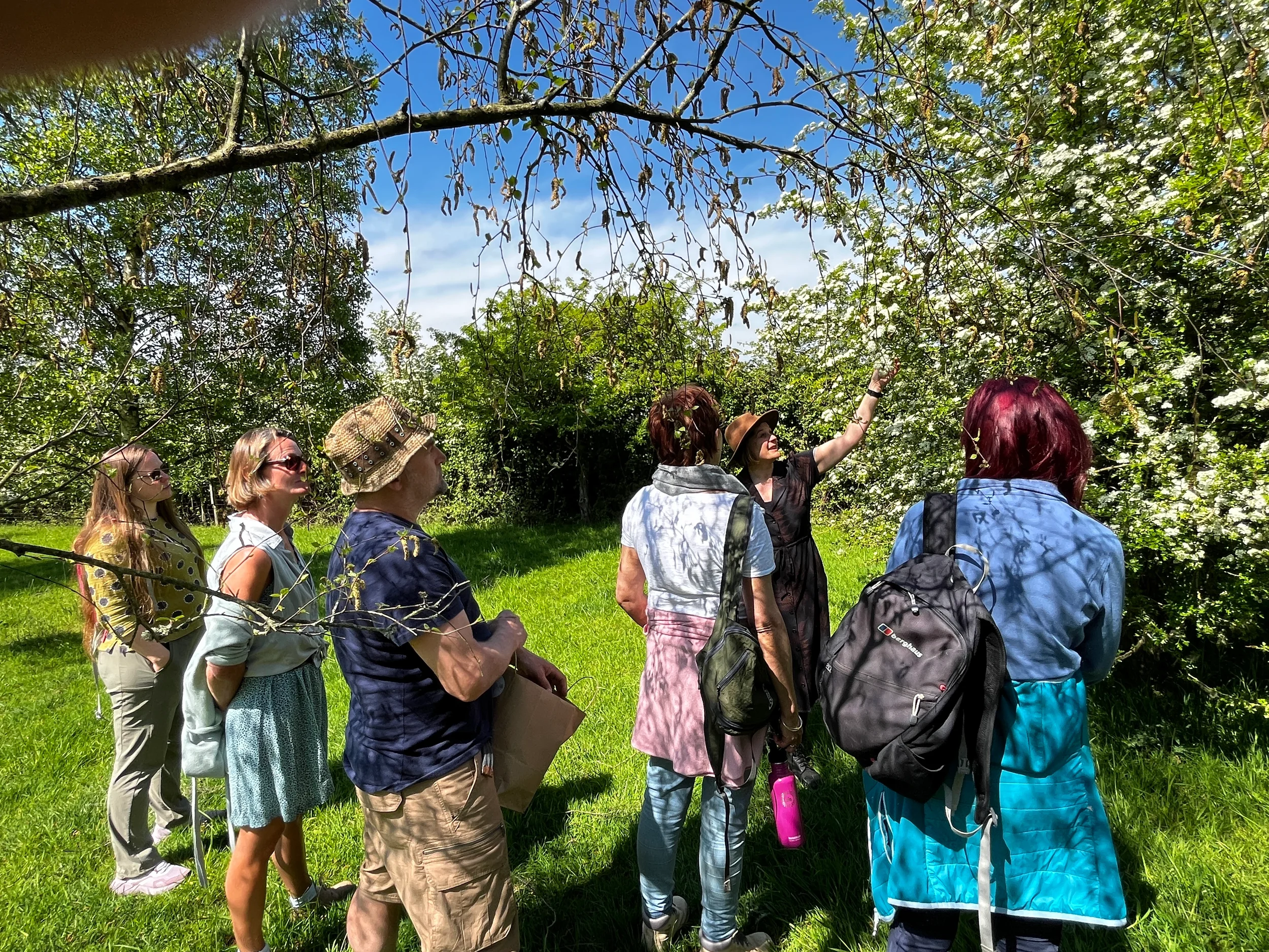enwild retreat foraging .webp