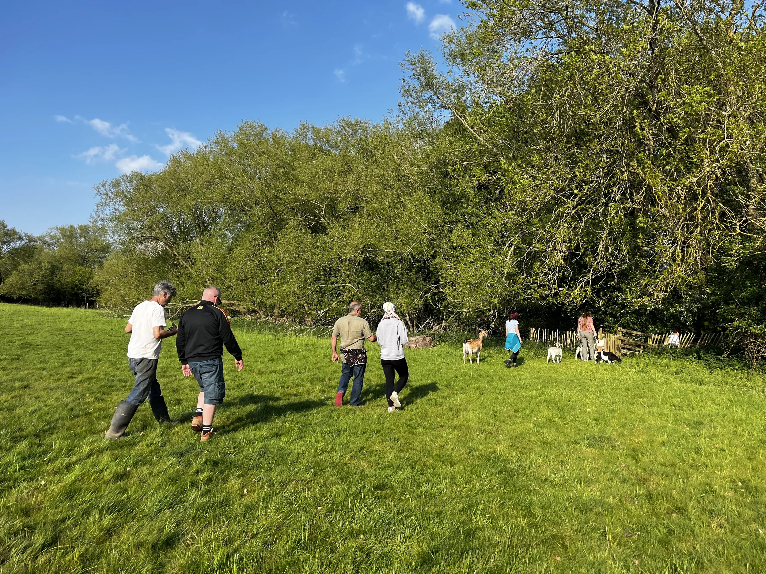 enwild retreat bringing the goats home.webp