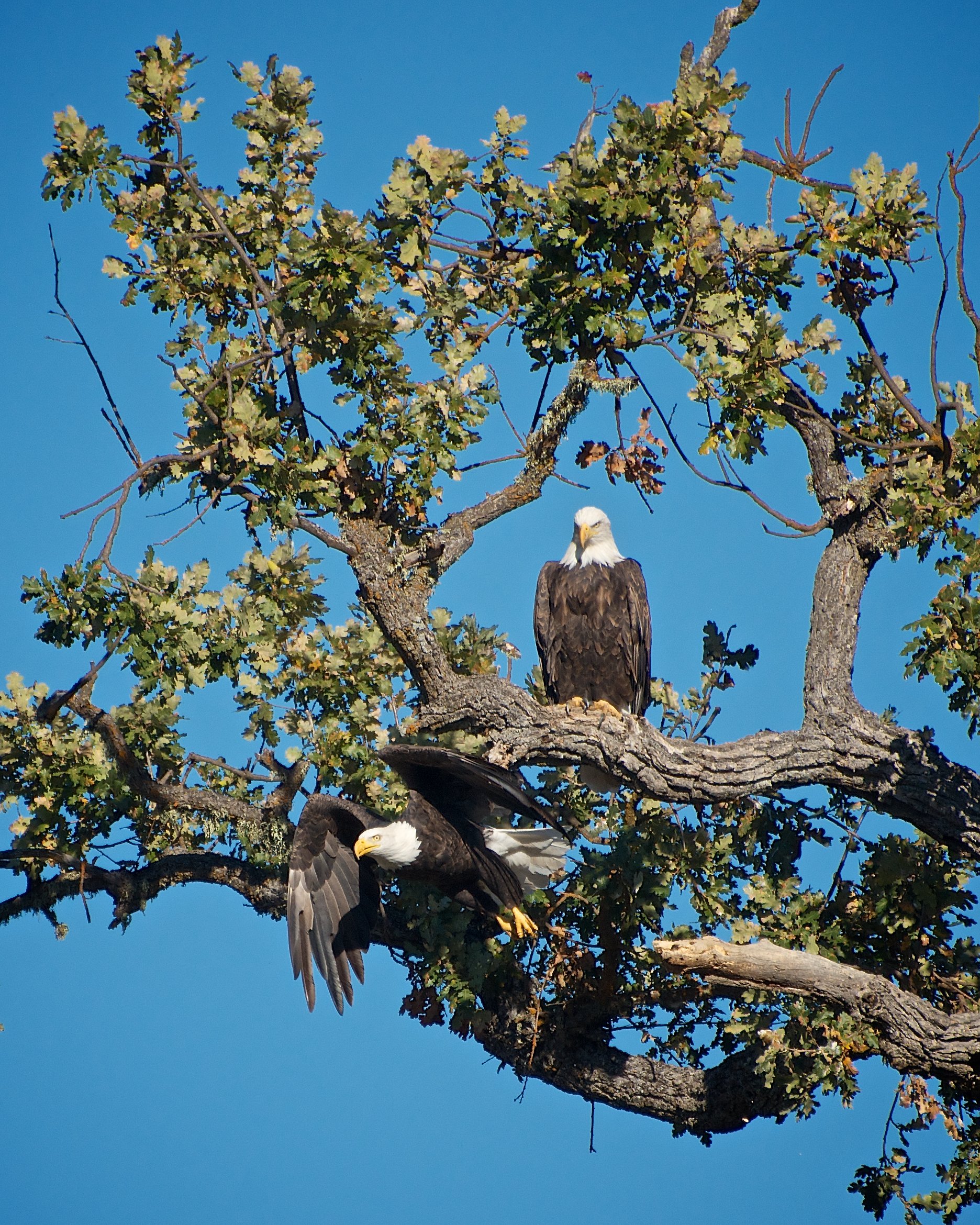 MCW_2074 - Version 3.jpg