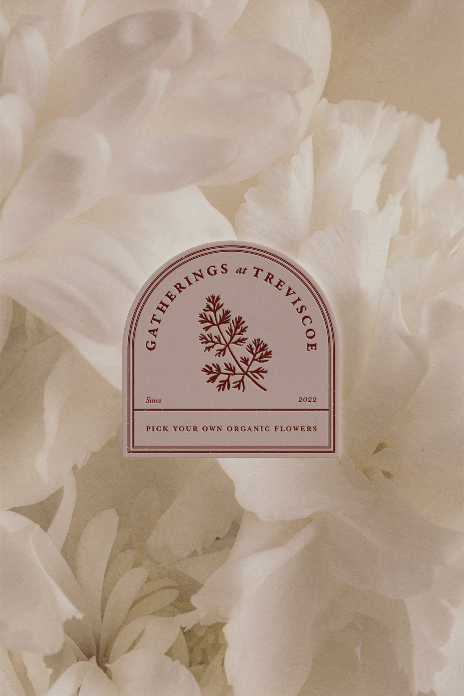 Maria Höfflin, The Brand Flourist, brand identity design for earth-conscious creators