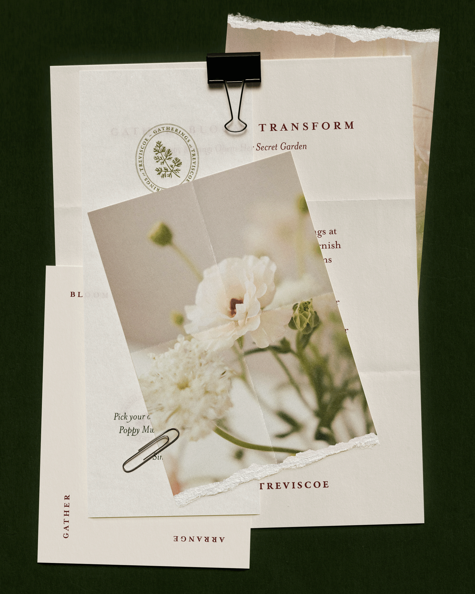 Organic, refined and warm brand identity design for an organic flower grower, Gatherings at Treviscoe. Mindful branding for sustainable founders by The Brand Flourist.