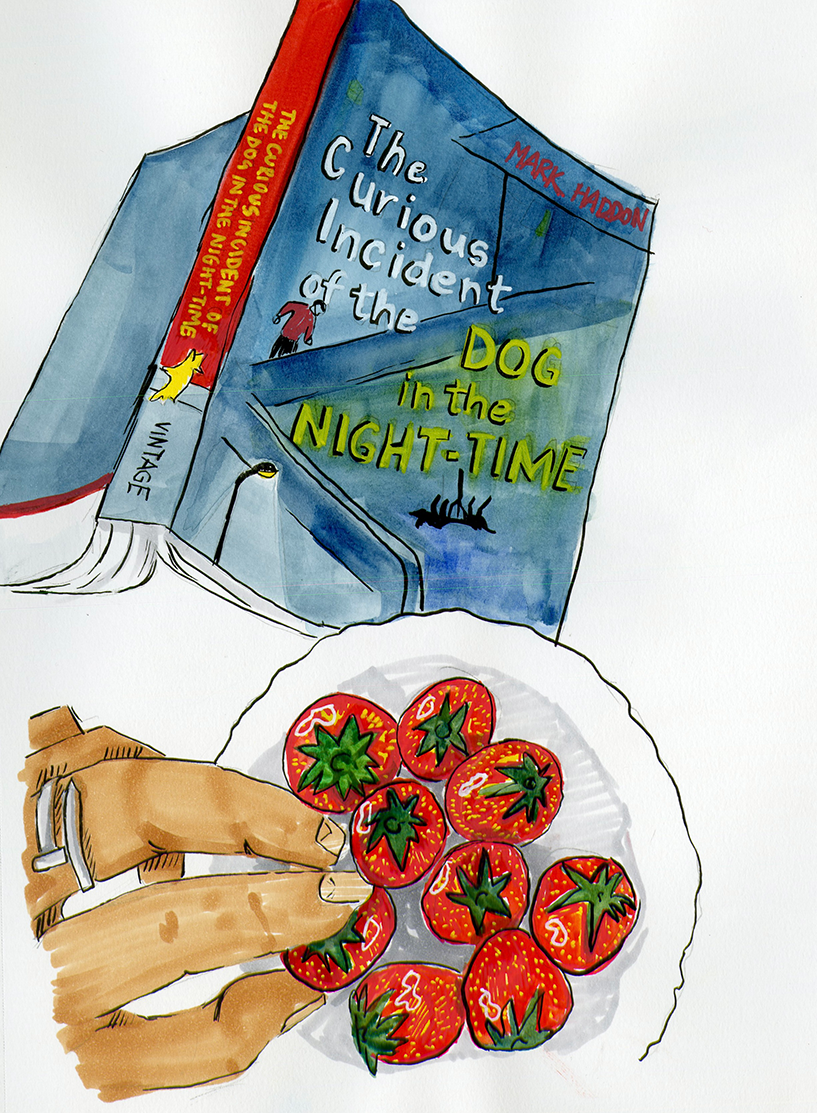 Hand holding a plate of strawberries in front of a stack of books, one titled 'The Curious Incident of the Dog in the Night-Time' by Mark Haddon.