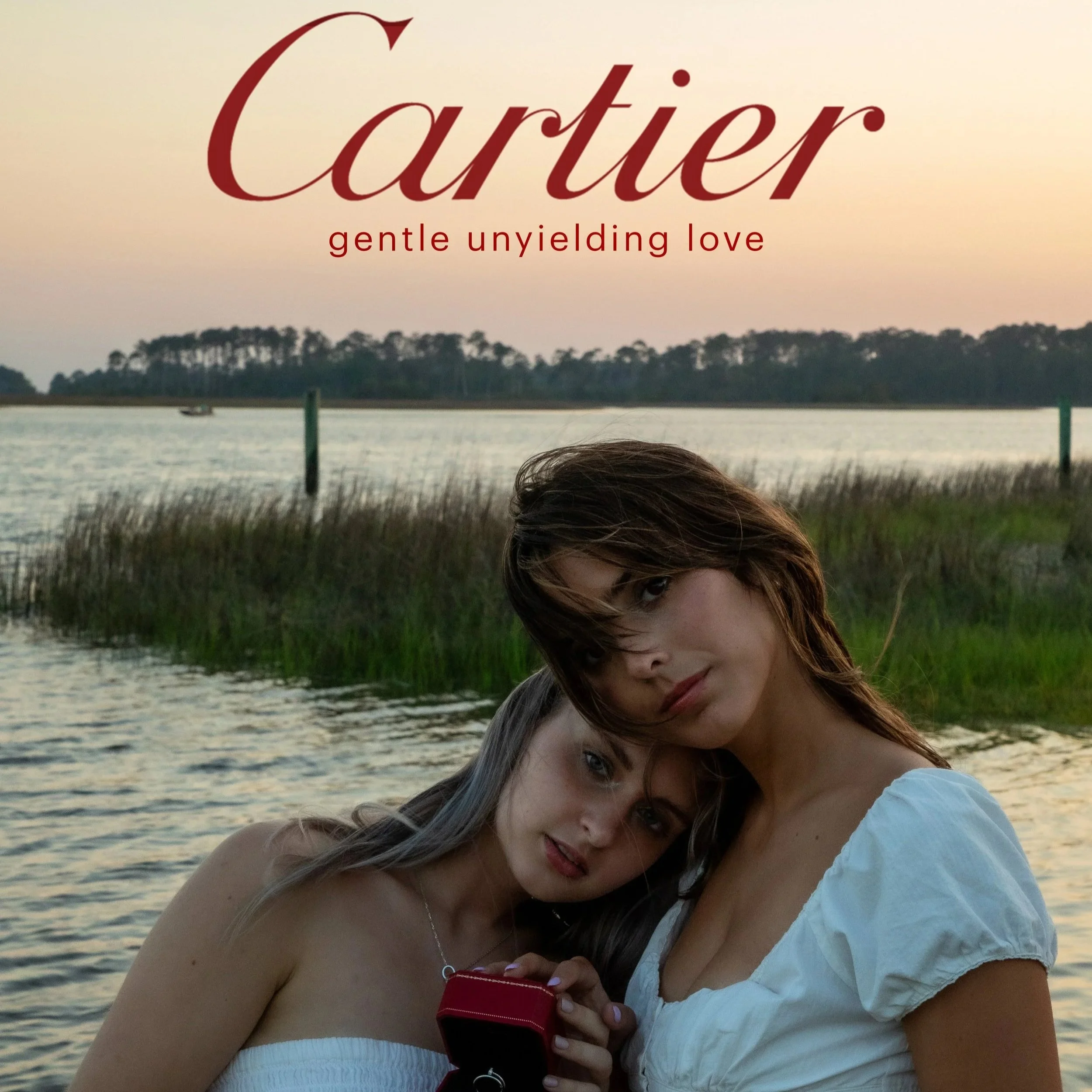 Cartier mock campaign (2024)