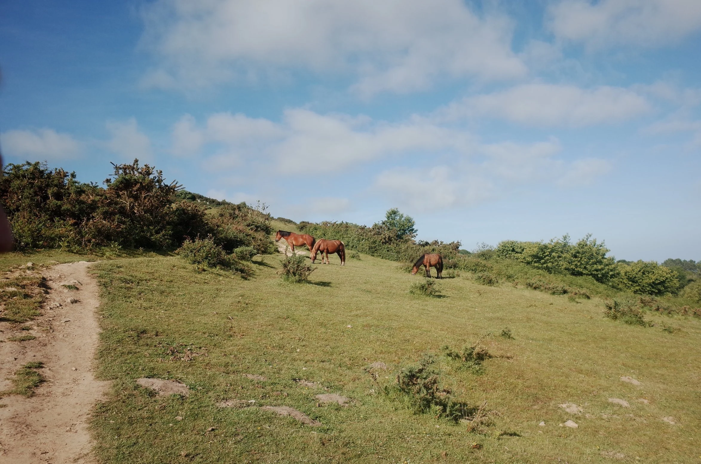 R0024705.jpg