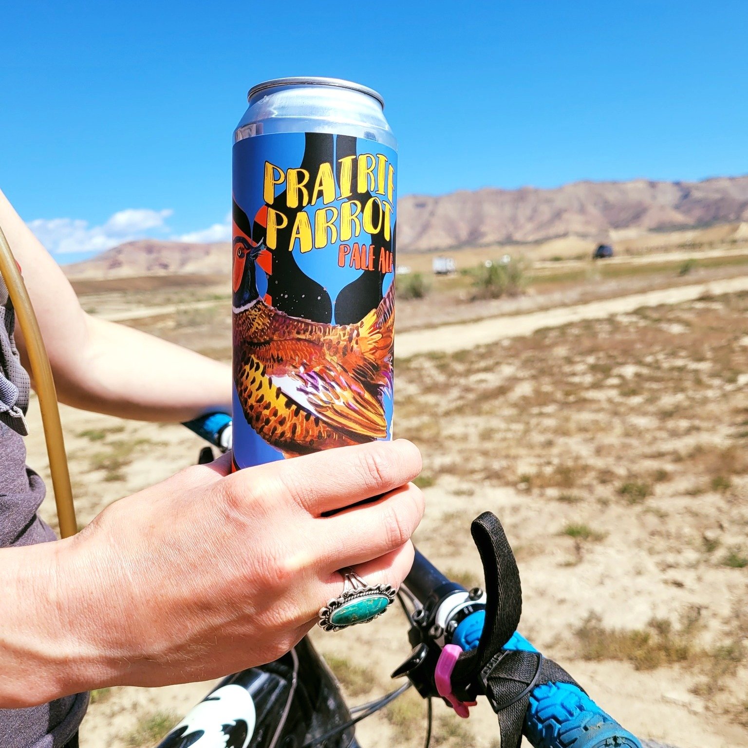 Post-Ride Reward, Packed and Ready 🚴&zwj;♂️🍻
Nothing hits like a cold beer after crushing some miles. Grab a few of our cans to go&mdash;perfect for that trailhead toast, your cooler, or wherever your ride ends.

✨ Single cans or build your own 4-p