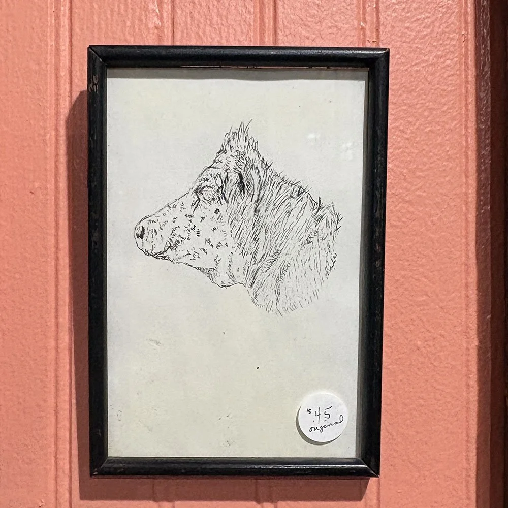 Cow sketch by Kim Clark