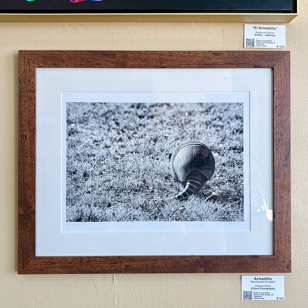 Armadillo Tale by KClark Photography