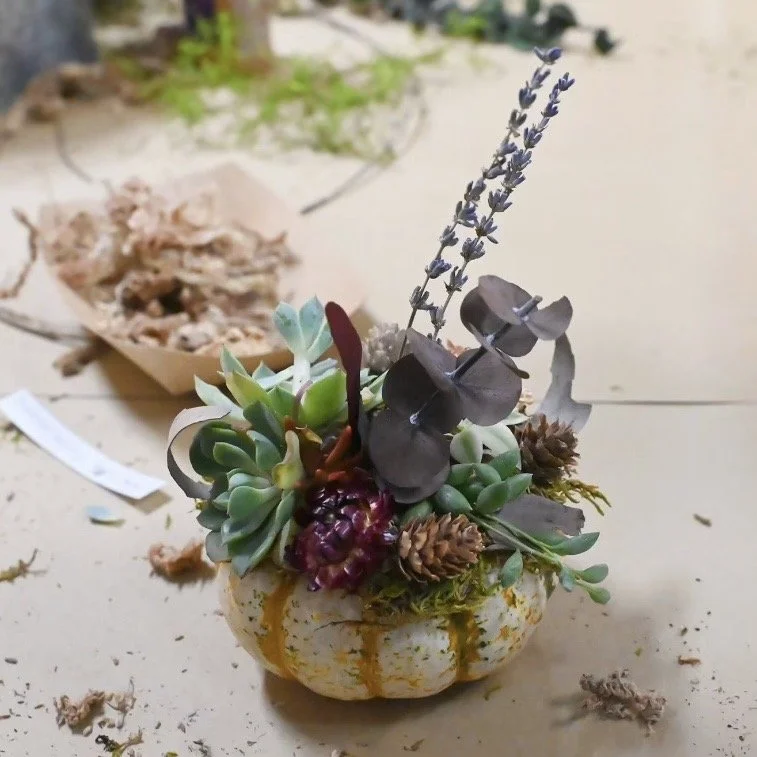 IMG_7326.jpeg