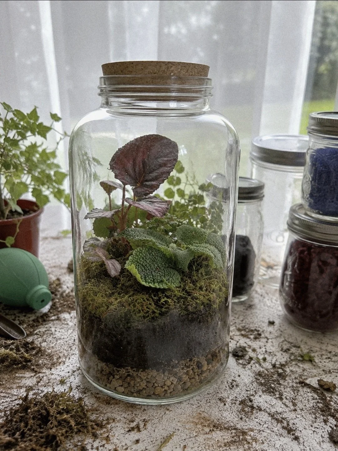 Terrarium Workshop | SAT., SEP 12, 1-3PM