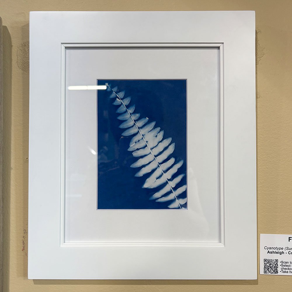 Fern Cyanotype by Crazy Plant Lovee