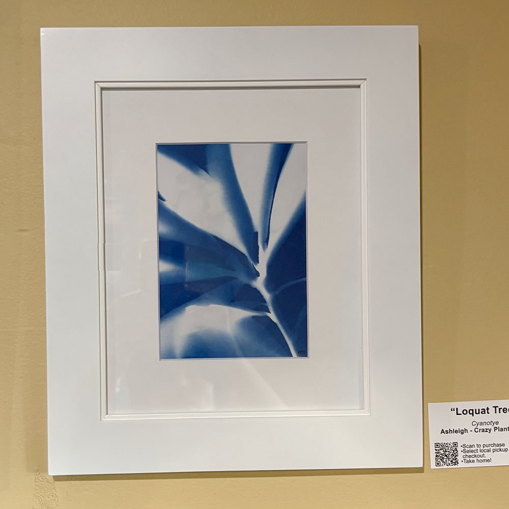 Loquat Tree Cyanotype by Crazy Plant Lovee