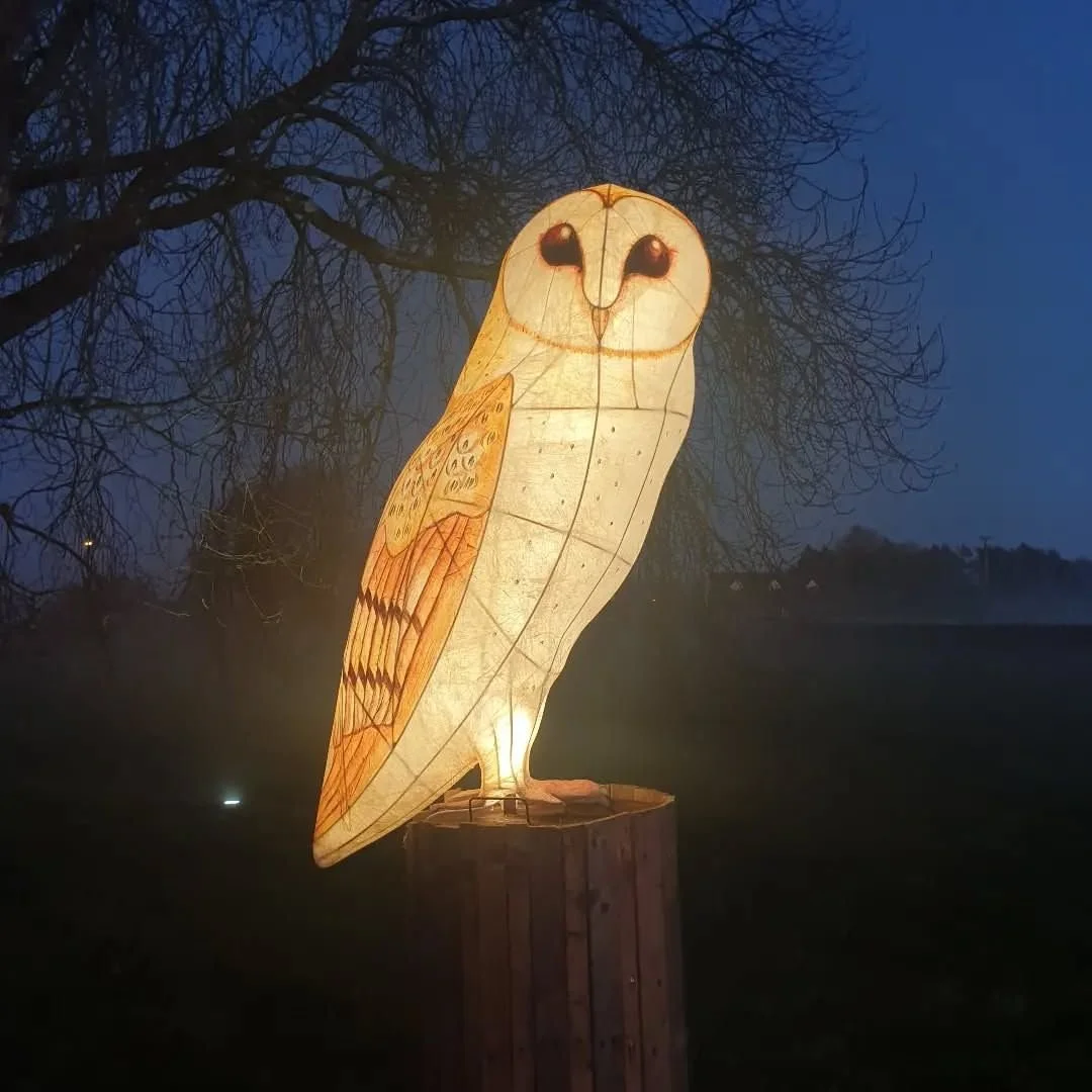 lantern owl.jpg