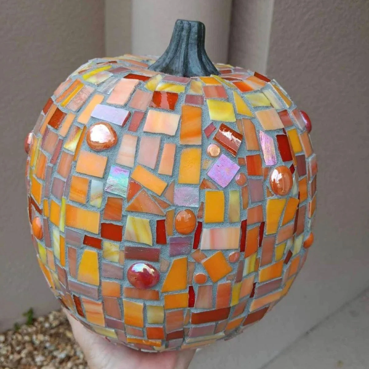 pumpkin.jpg