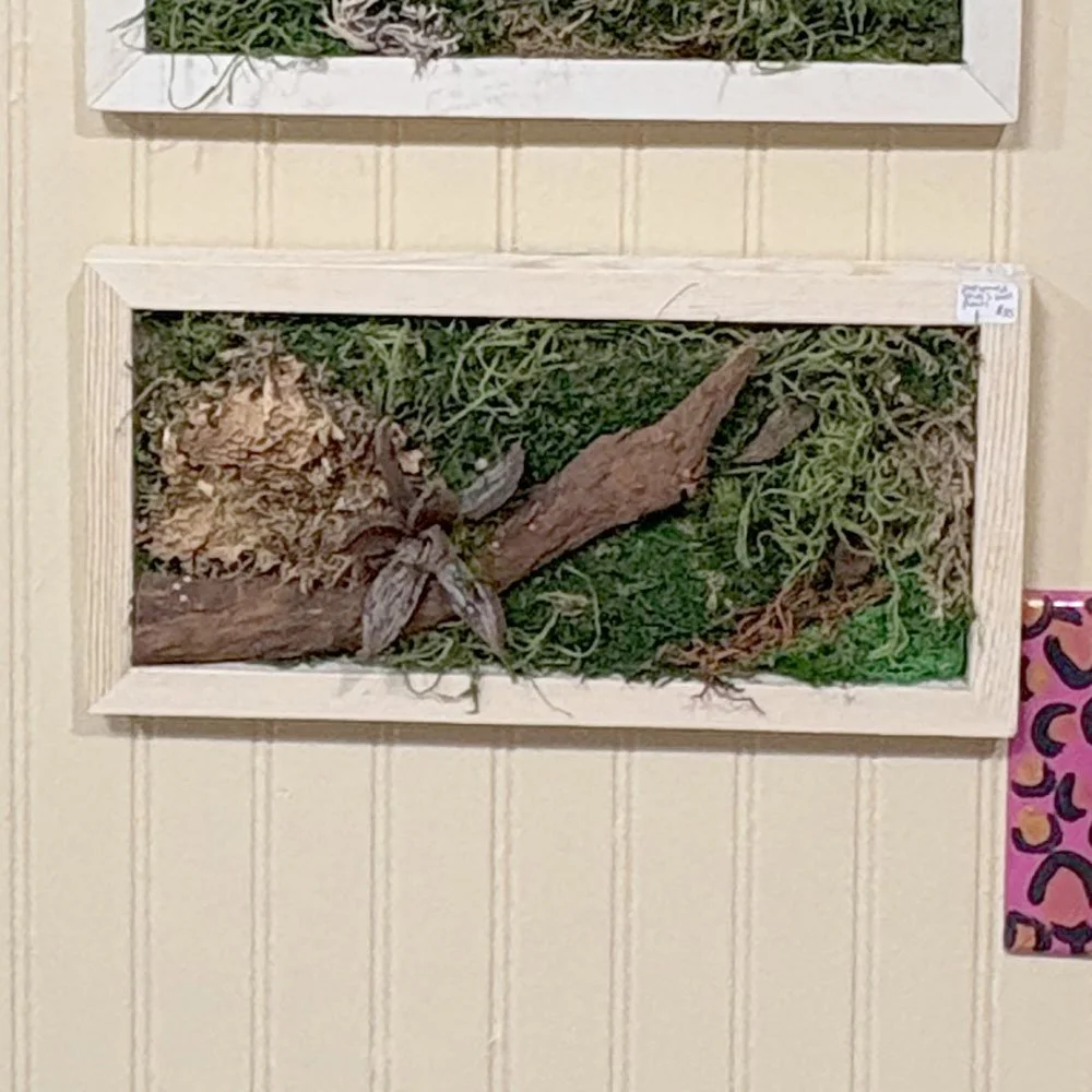 Preserved Moss Panel by Crazy Plant Lovee