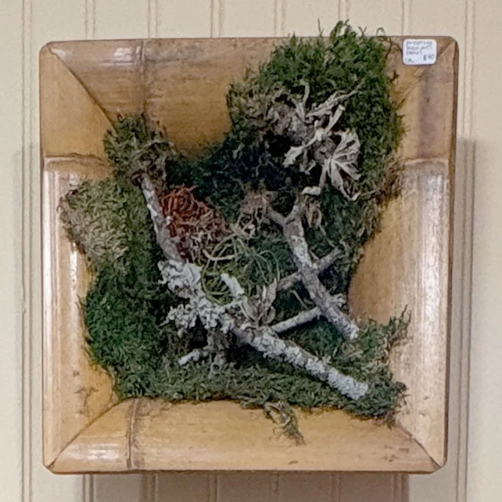 Preserved Moss Panel by Crazy Plant Lovee
