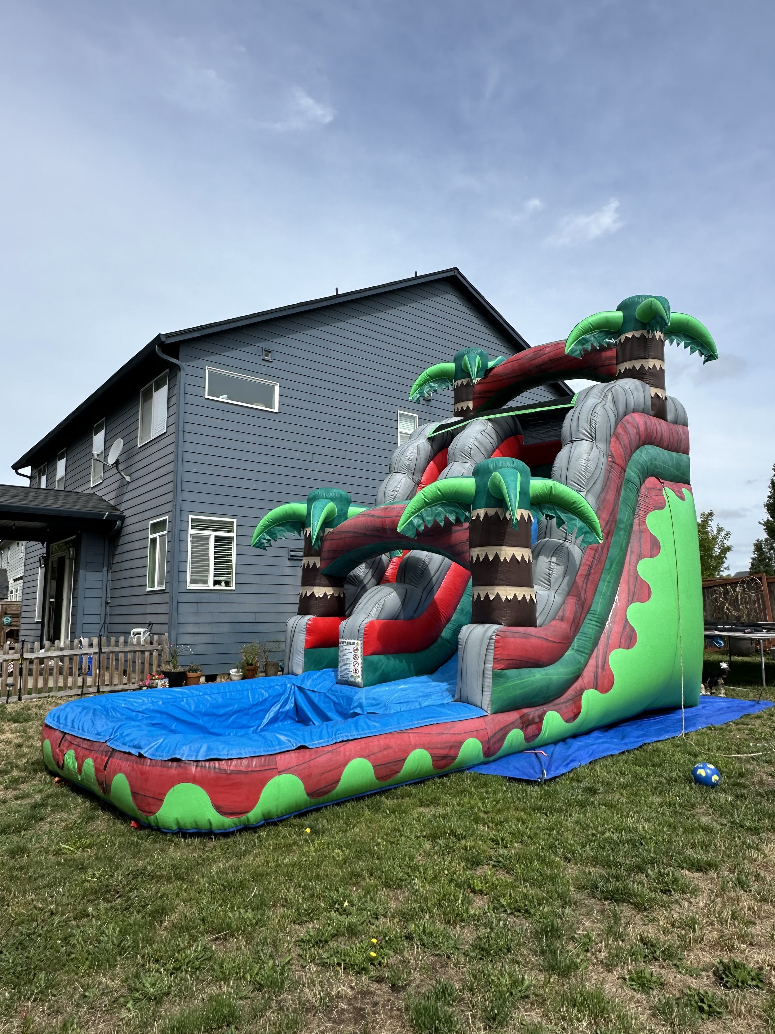 Large inflatable water slide designed as a watermelon with palm trees, set up on a grassy lawn in front of a blue house.