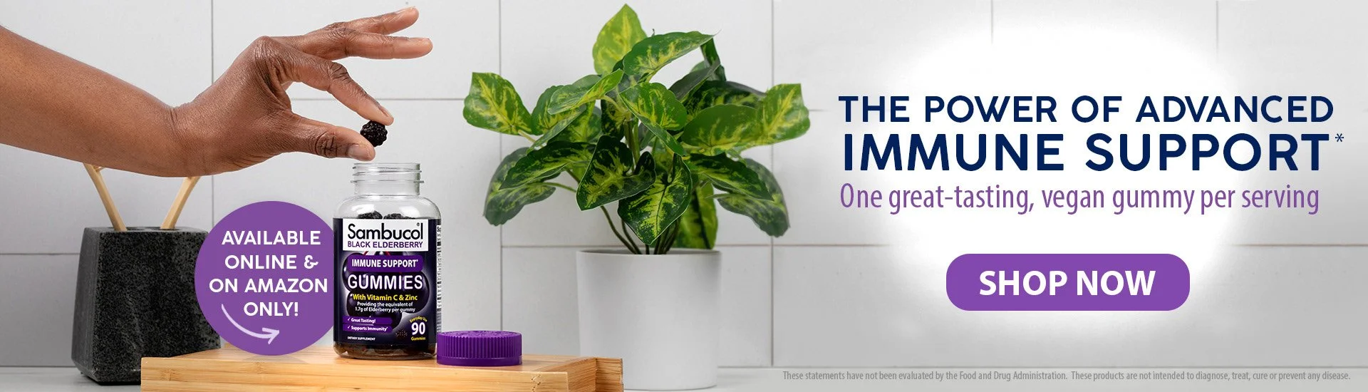 A hand placing black elderberry gummies into a bottle next to a houseplant and a black stone container with wooden sticks, with text promoting immune support gummies