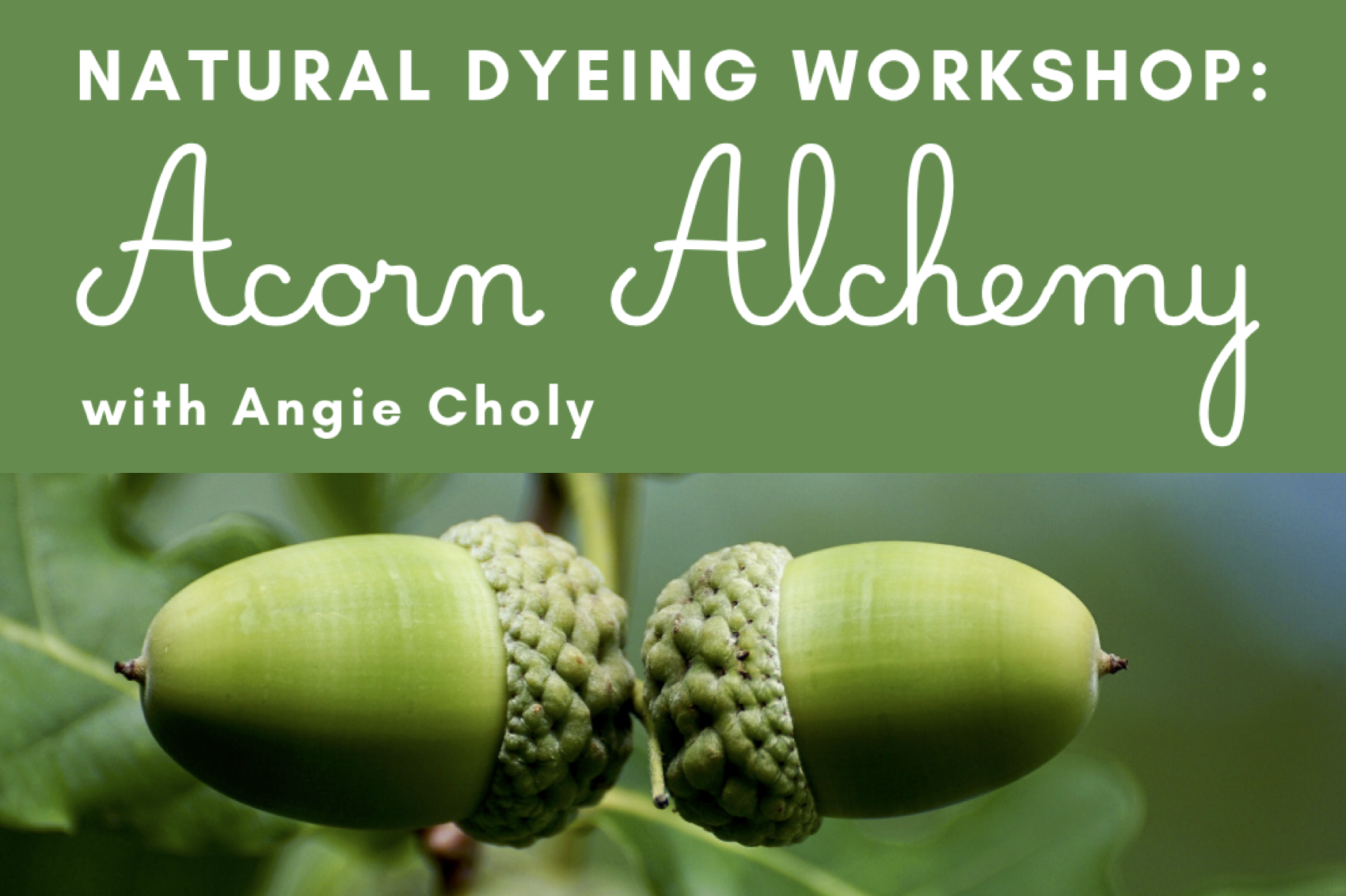 Natural Dyeing Workshop - Acorn Alchemy
