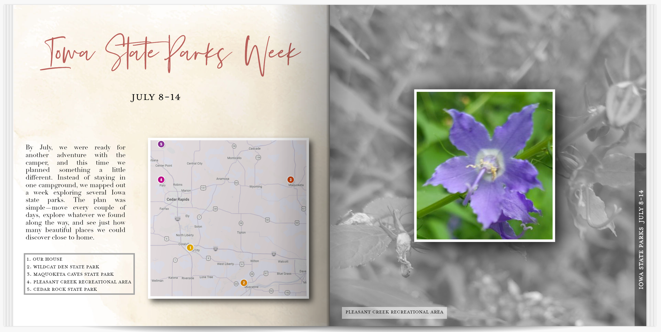 Screenshot 2026-06-11 153058.png