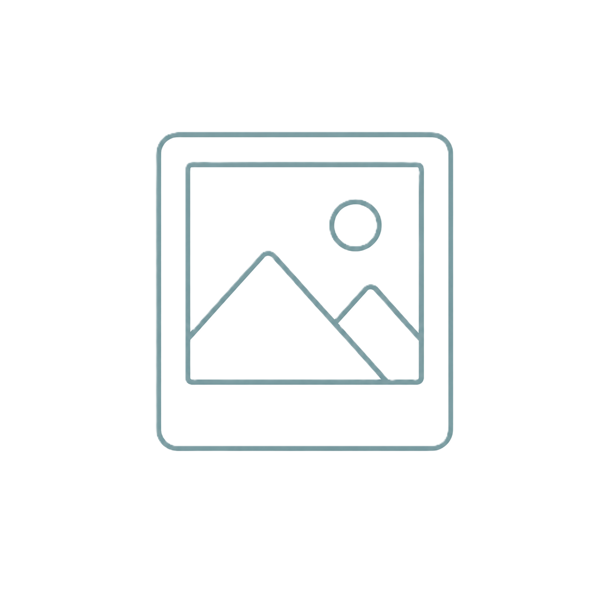 Line drawing photo icon representing school-year photos.