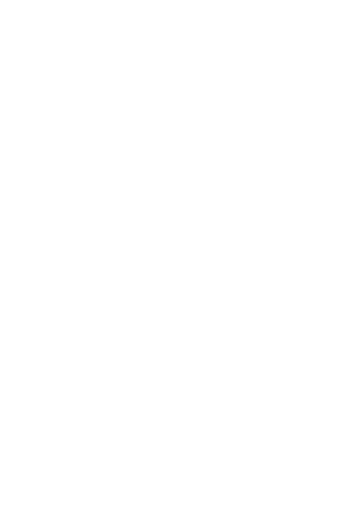 Southeastern Scanning Services' Mascot - the outline of a barn owl in white