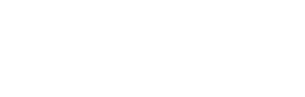 Southeastern  Scanning Services